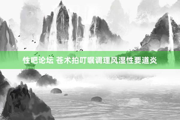 性吧论坛 苍术拍叮嘱调理风湿性要道炎