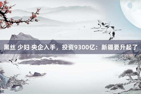 黑丝 少妇 央企入手，投资9300亿：新疆要升起了