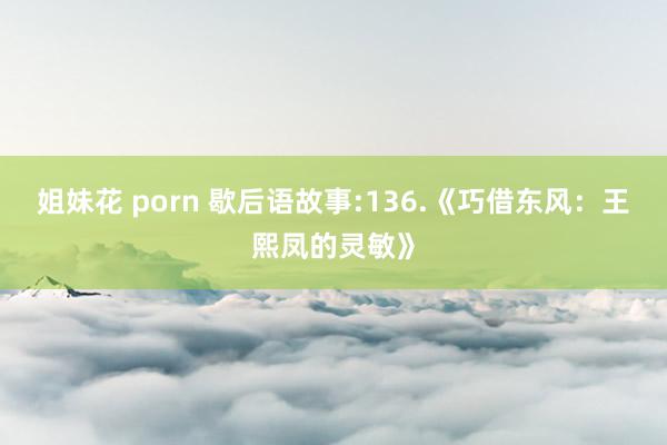 姐妹花 porn 歇后语故事:136.《巧借东风：王熙凤的灵敏》