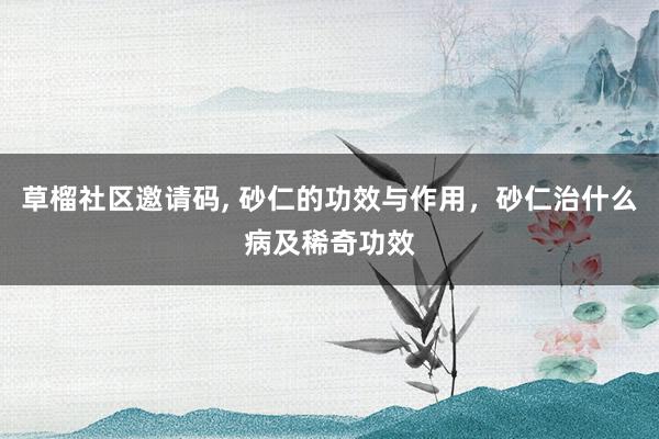 草榴社区邀请码， 砂仁的功效与作用，砂仁治什么病及稀奇功效